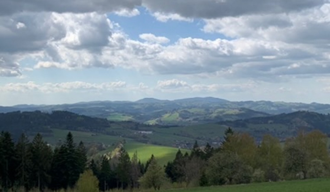 #18 - #16 V sadě skví se jara květ