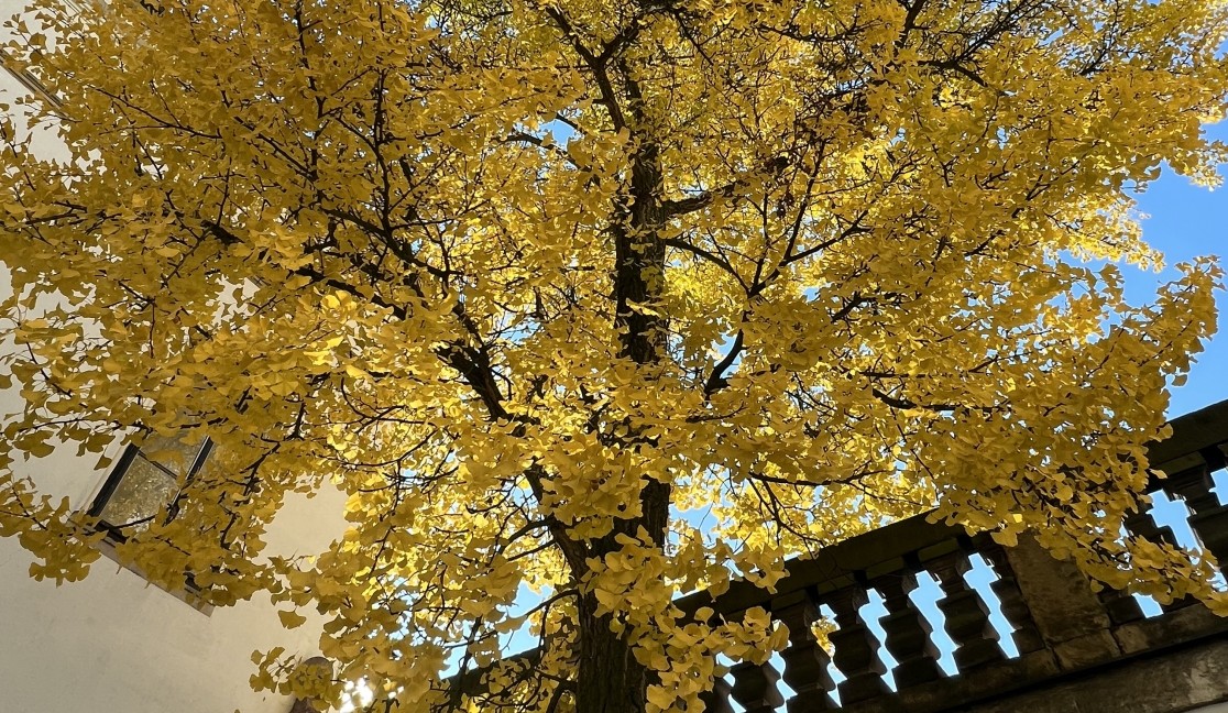 Road trip s knihou Svět Úžasné Báry III.