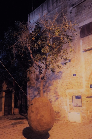 Izrael ve fotografiích